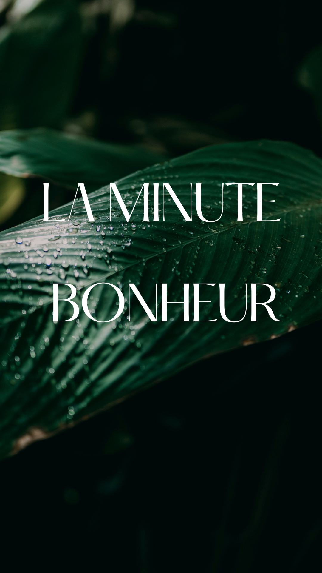 SOON : La minute bonheur…
